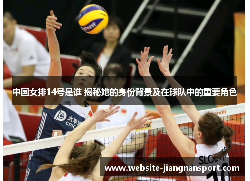 中国女排14号是谁 揭秘她的身份背景及在球队中的重要角色